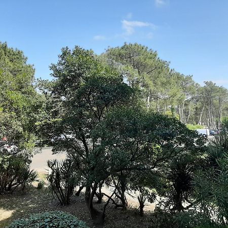 Studio Cosy Proche Ocean Et Commerces, Parfait Pour Des Vacances A Deux! - Fr-1-239-437 Seignosse Eksteriør bilde