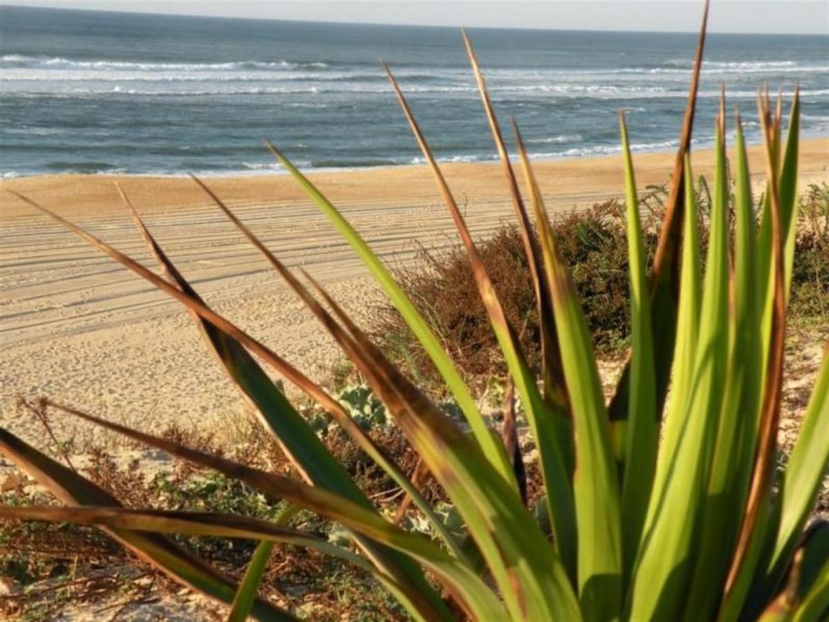 Studio Cosy Proche Ocean Et Commerces, Parfait Pour Des Vacances A Deux! - Fr-1-239-437 Seignosse Eksteriør bilde