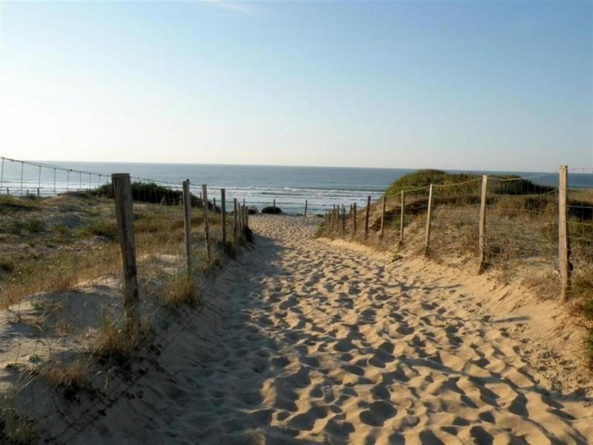 Studio Cosy Proche Ocean Et Commerces, Parfait Pour Des Vacances A Deux! - Fr-1-239-437 Seignosse Eksteriør bilde