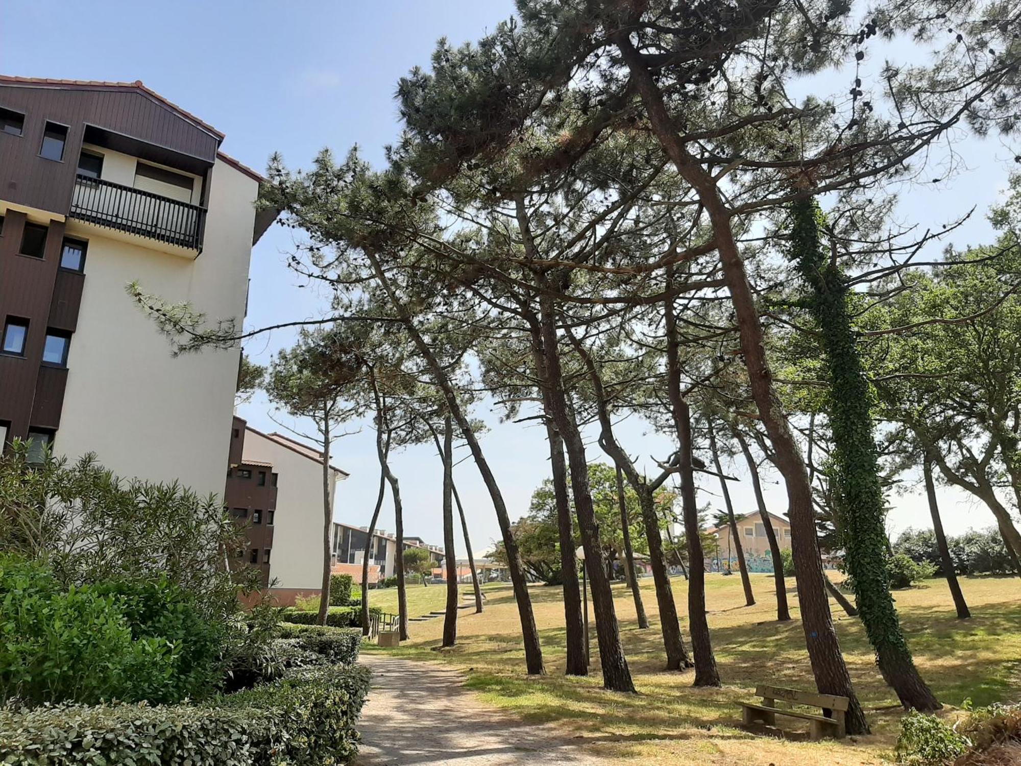 Studio Cosy Proche Ocean Et Commerces, Parfait Pour Des Vacances A Deux! - Fr-1-239-437 Seignosse Eksteriør bilde